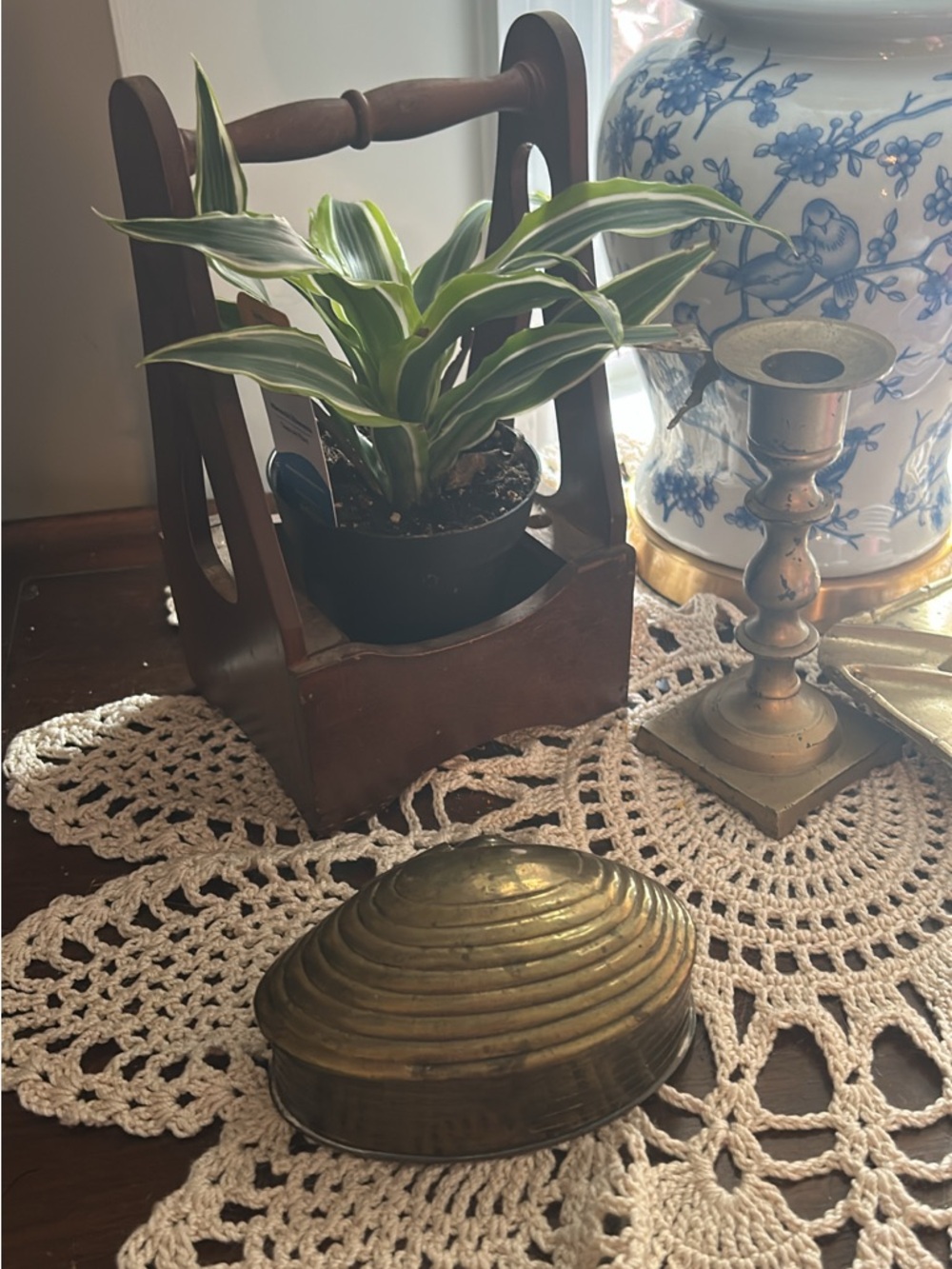 Brass Clam Trinket Box - Gold Oval Ribbed Design